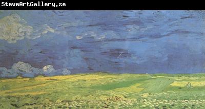 Vincent Van Gogh Wheat Field under Clouded Sky (nn04)